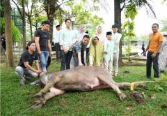 Ratusan THL dan Petugas Kebersihan di Setdakab Kampar Dapat Daging Kurban